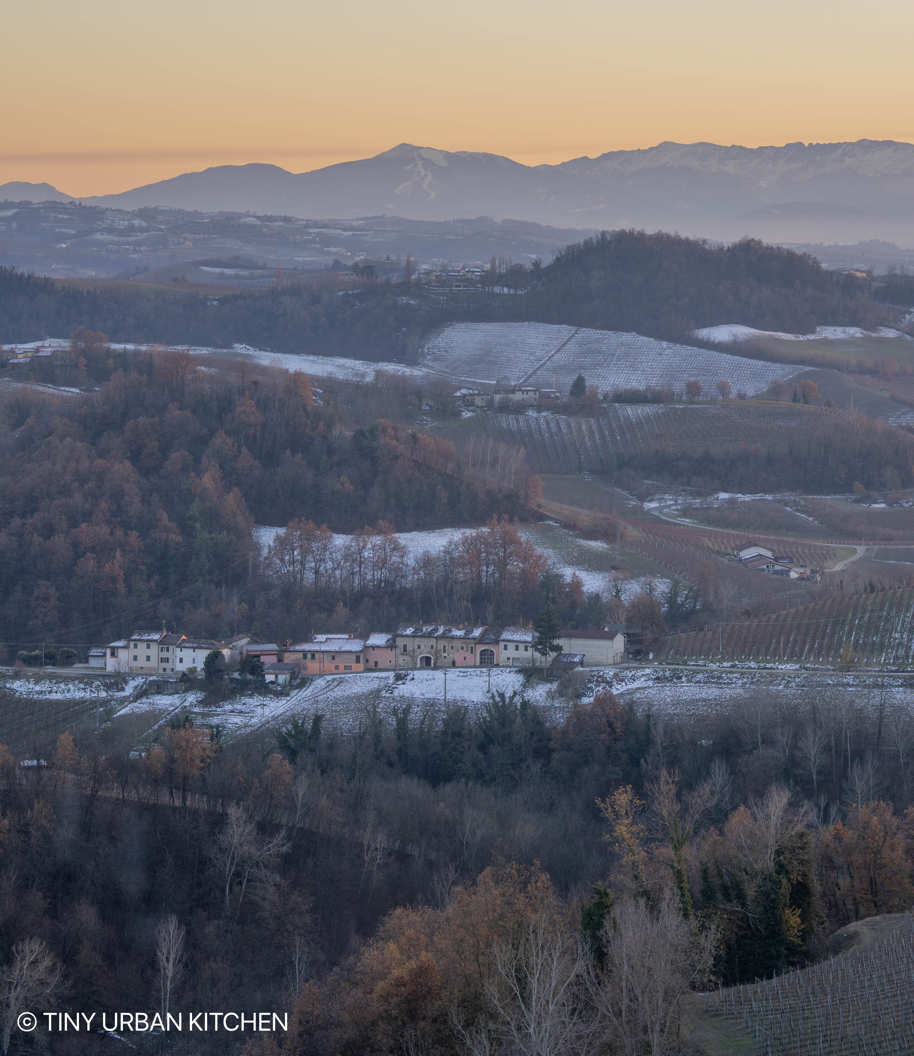 Anna Maria Abbona Barolo Italy