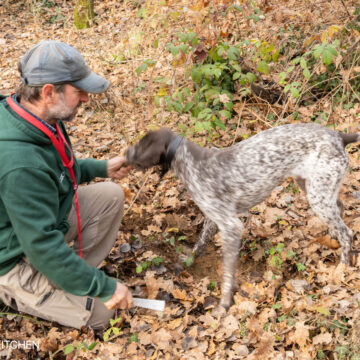 Truffle Hunting with a Dog