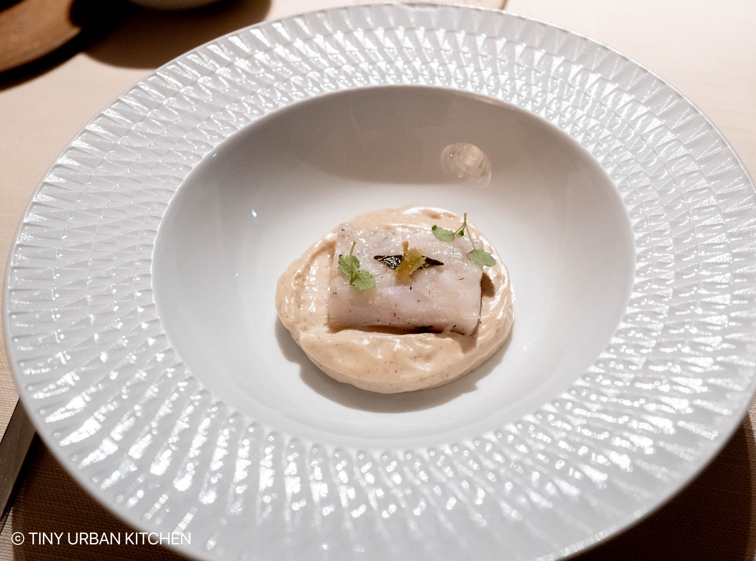 Andrea Aprea Milan Italy