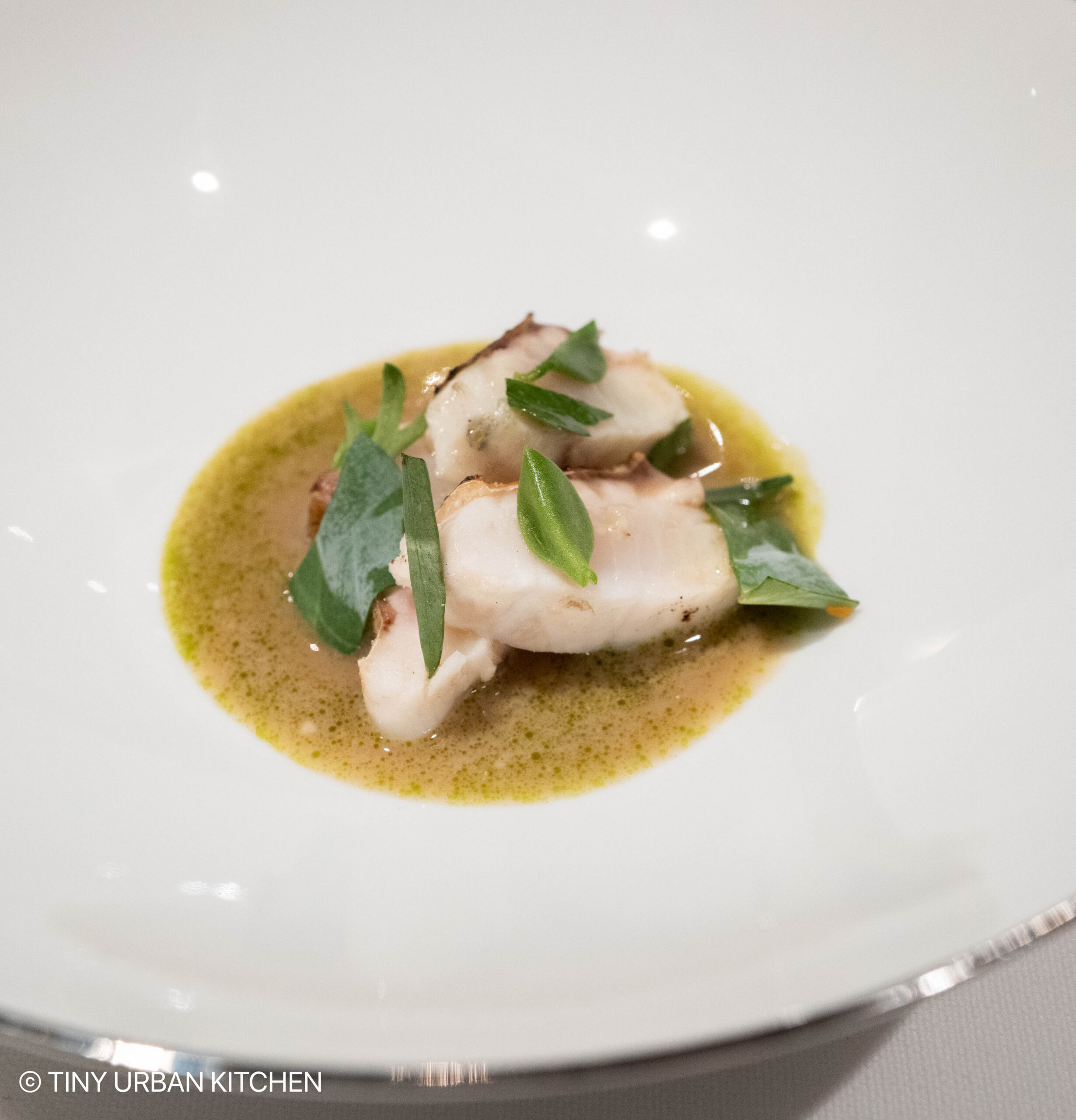 Osteria Osteria Francescana Modena Italy