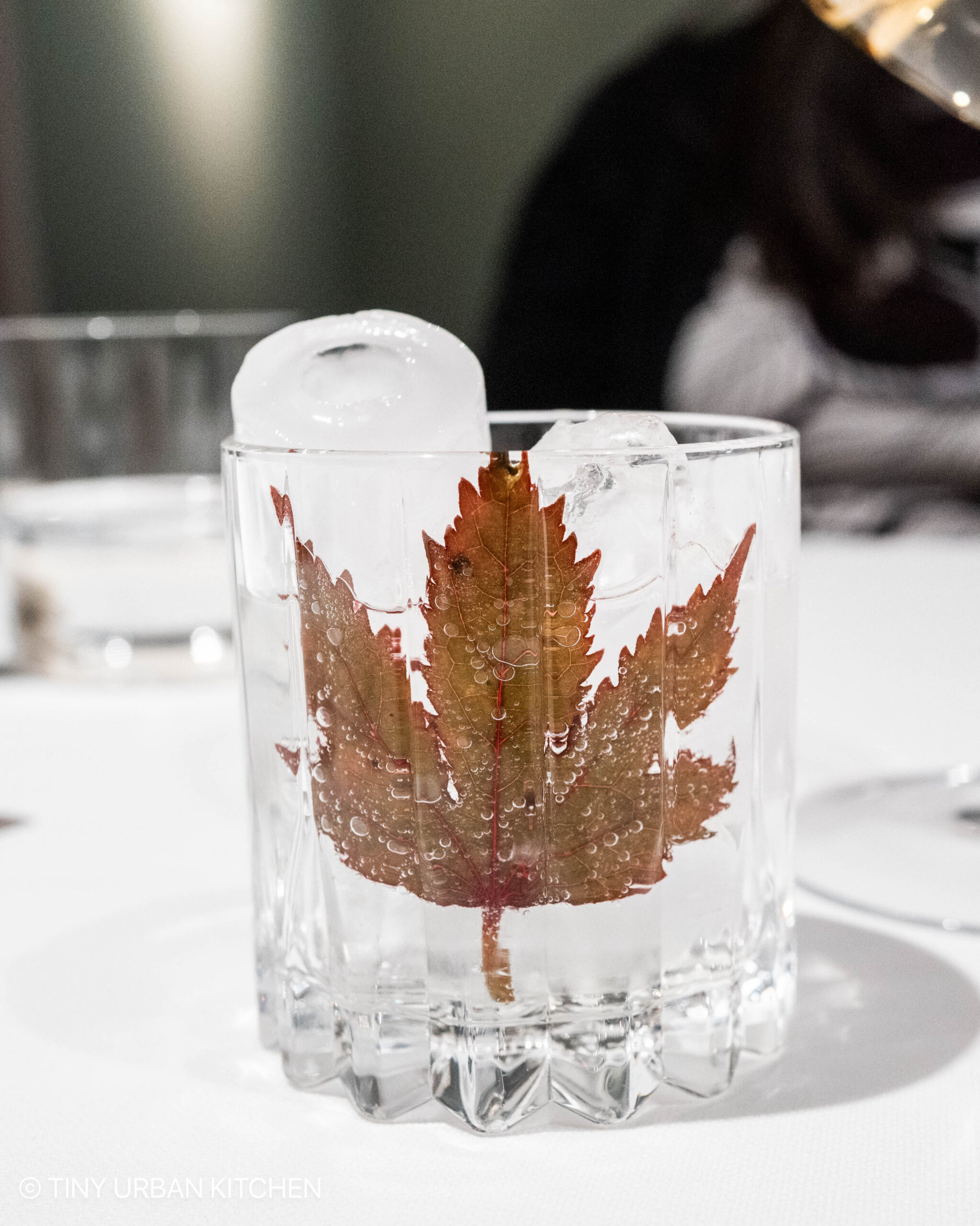 Osteria Osteria Francescana Modena Italy
