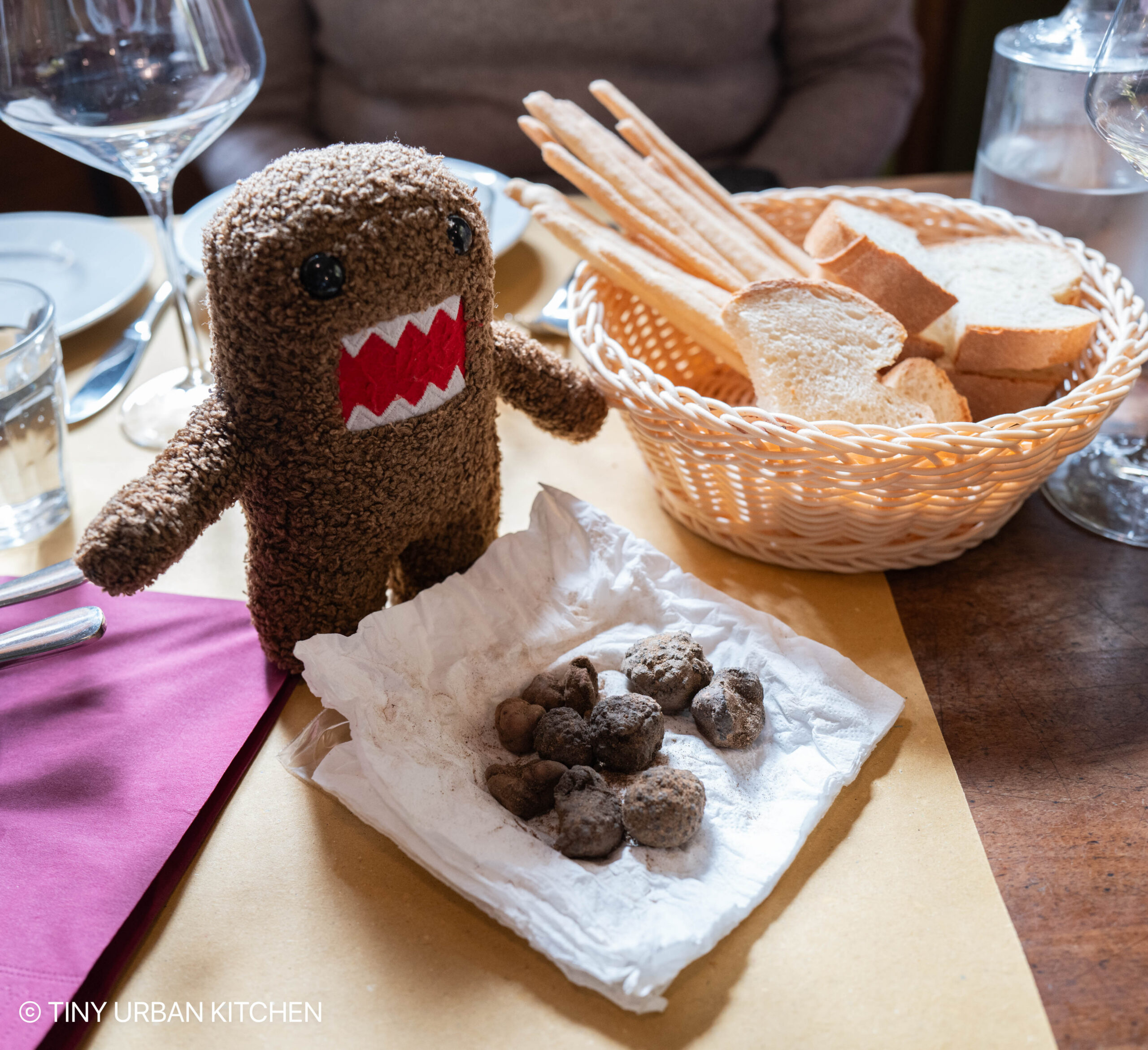 Truffle Hunting with a Dog