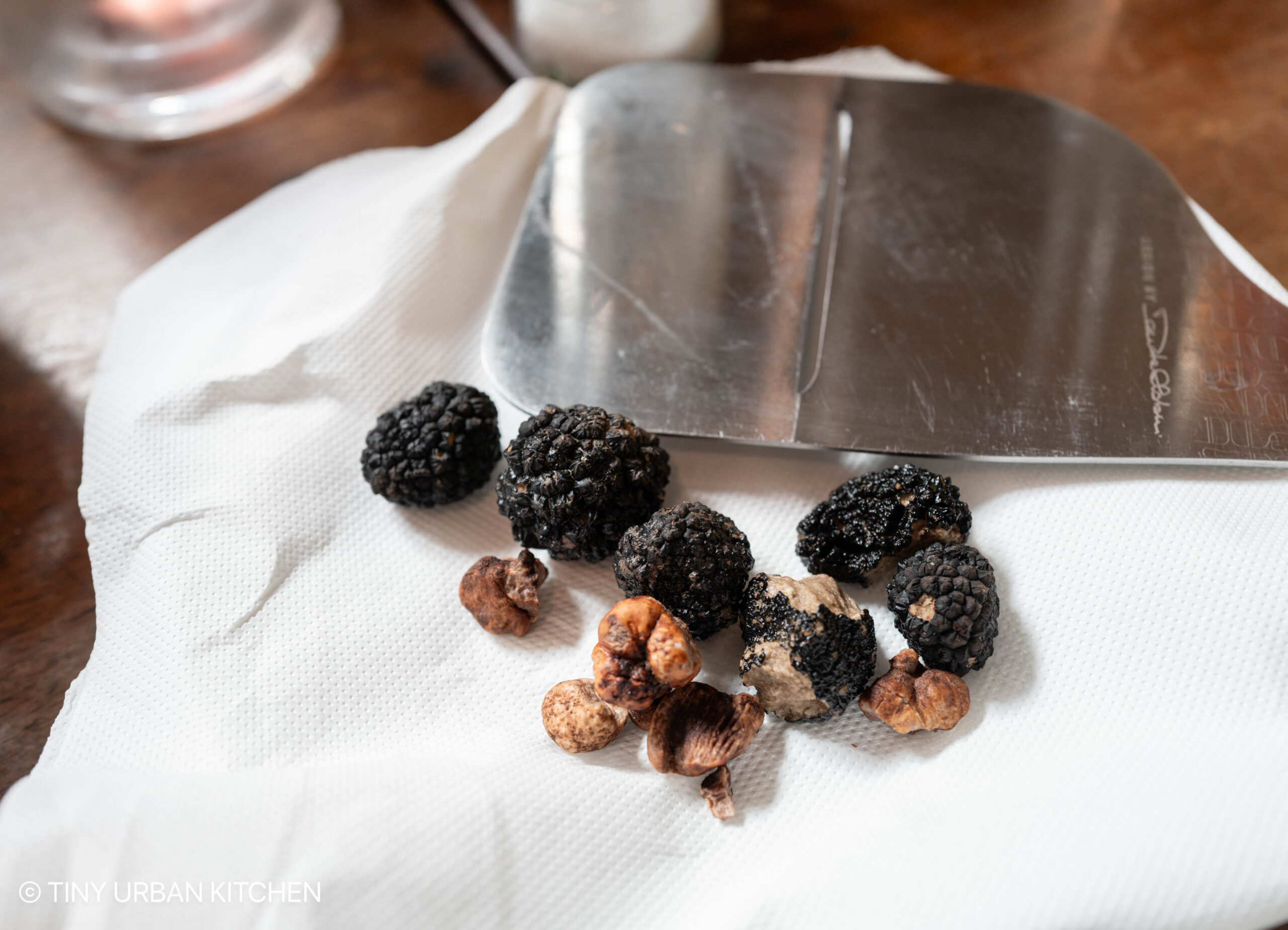 Truffle Hunting with a Dog