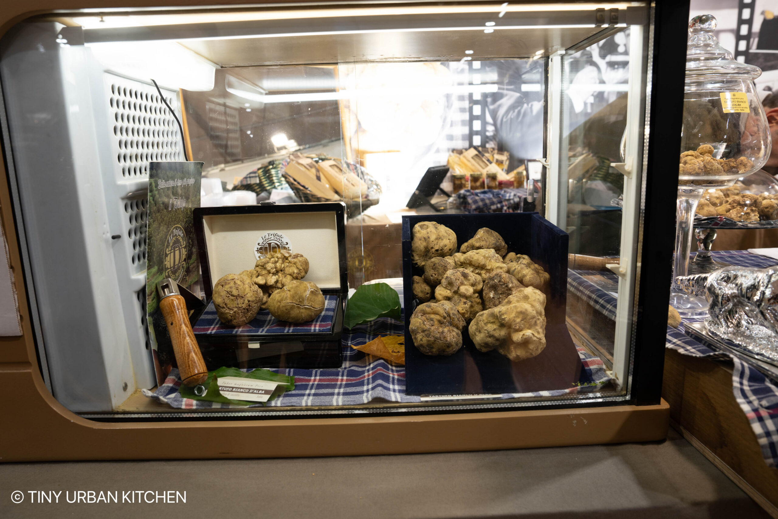 Alba White Truffle Festival