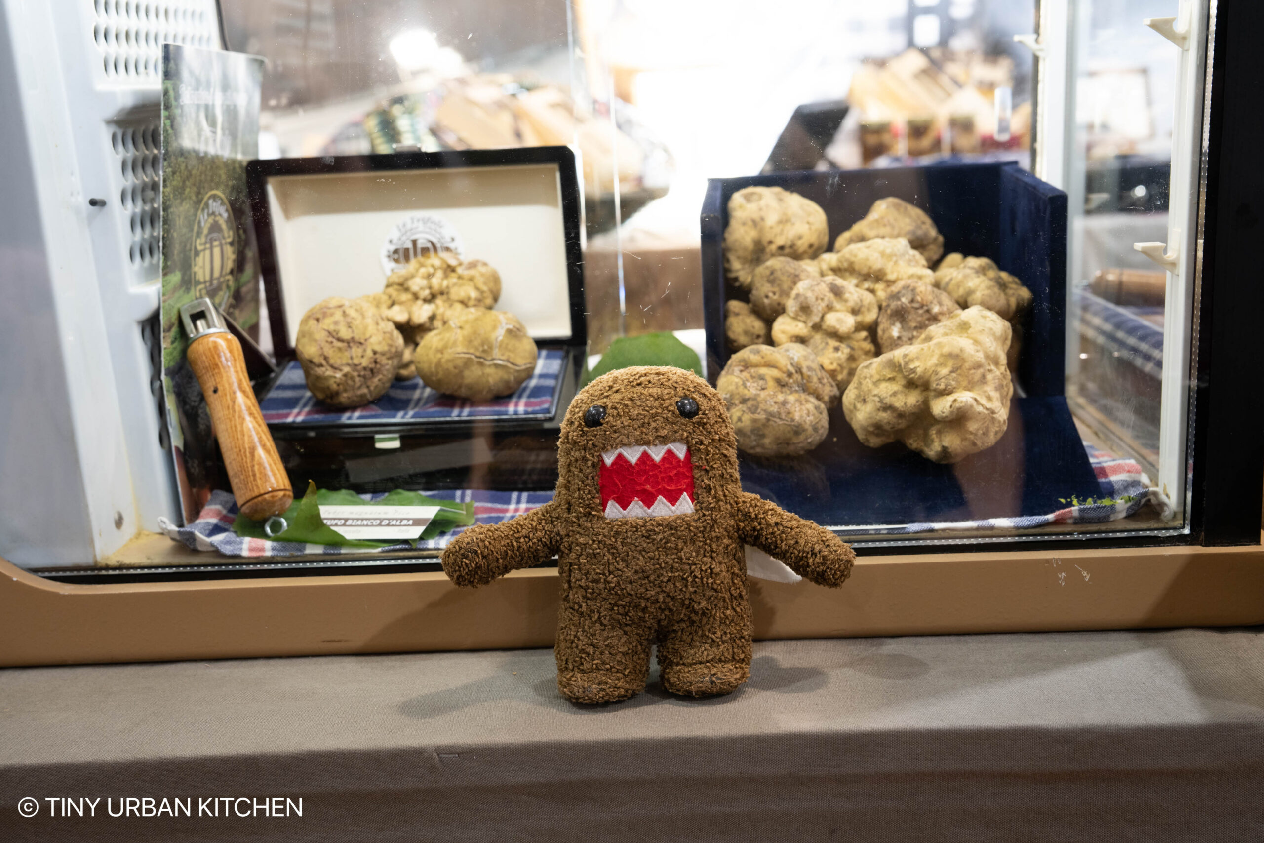 Alba White Truffle Festival