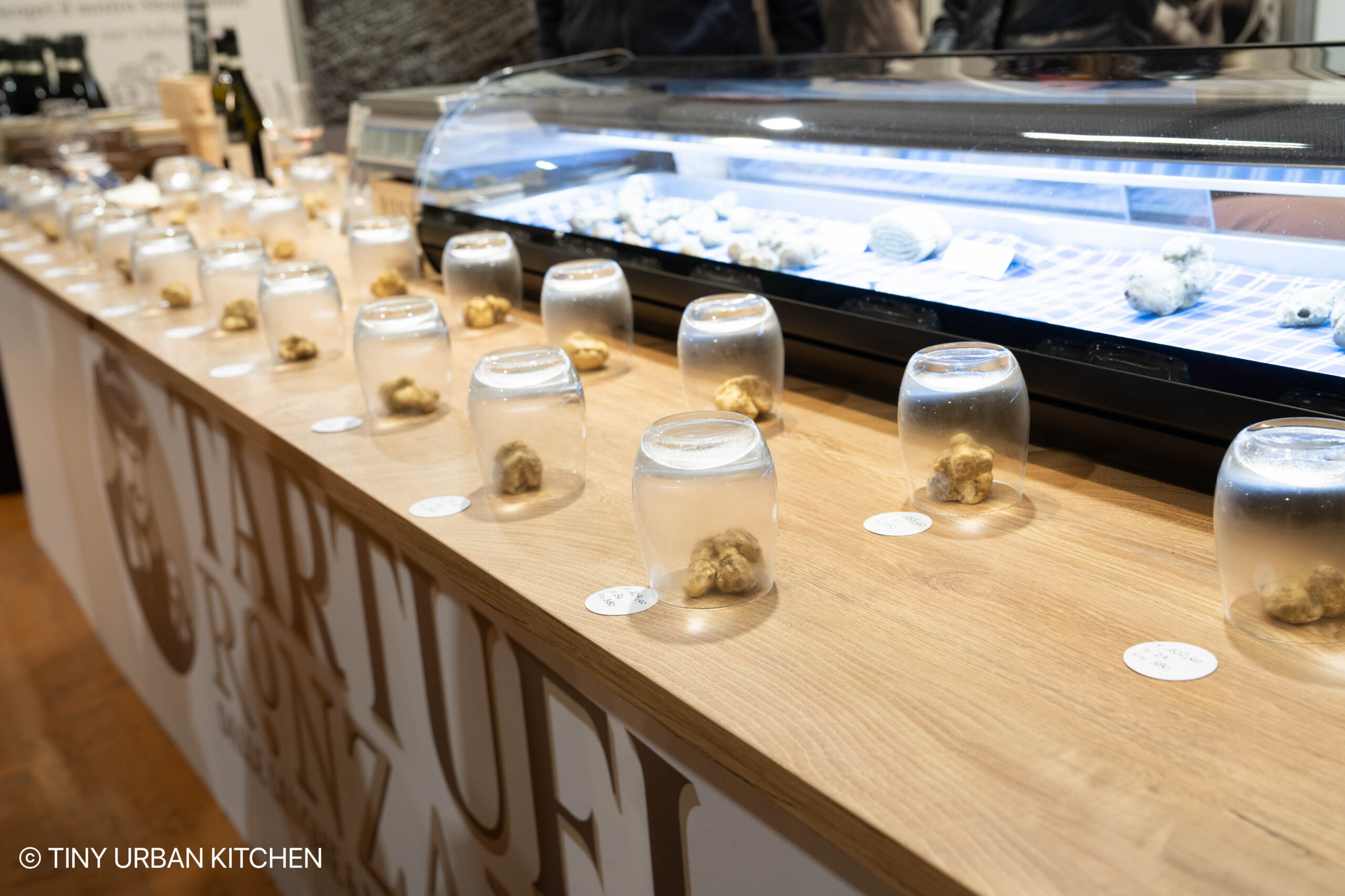 Alba White Truffle Festival