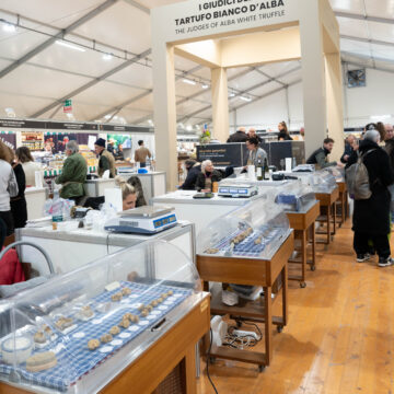 Alba White Truffle Festival