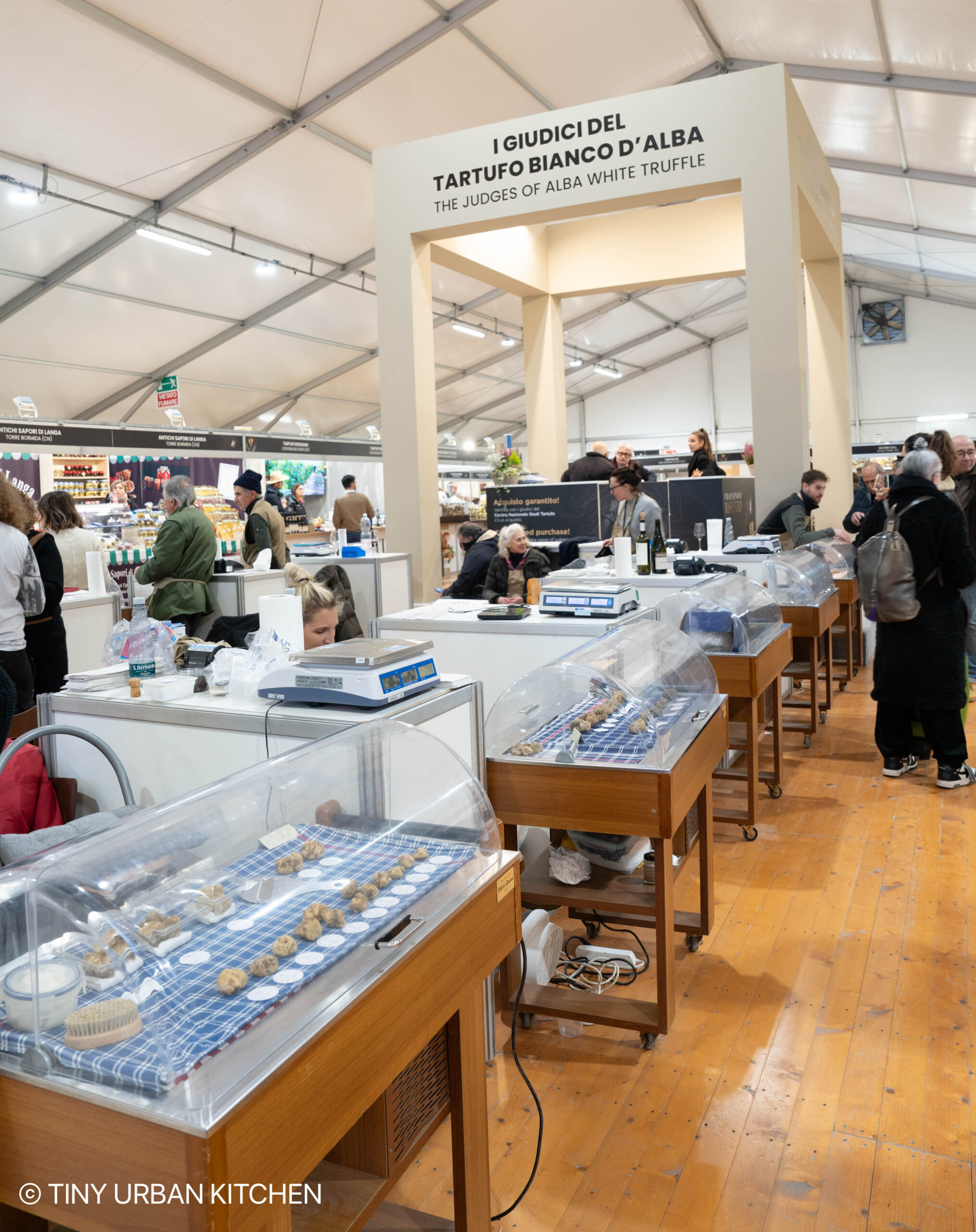 Alba White Truffle Festival