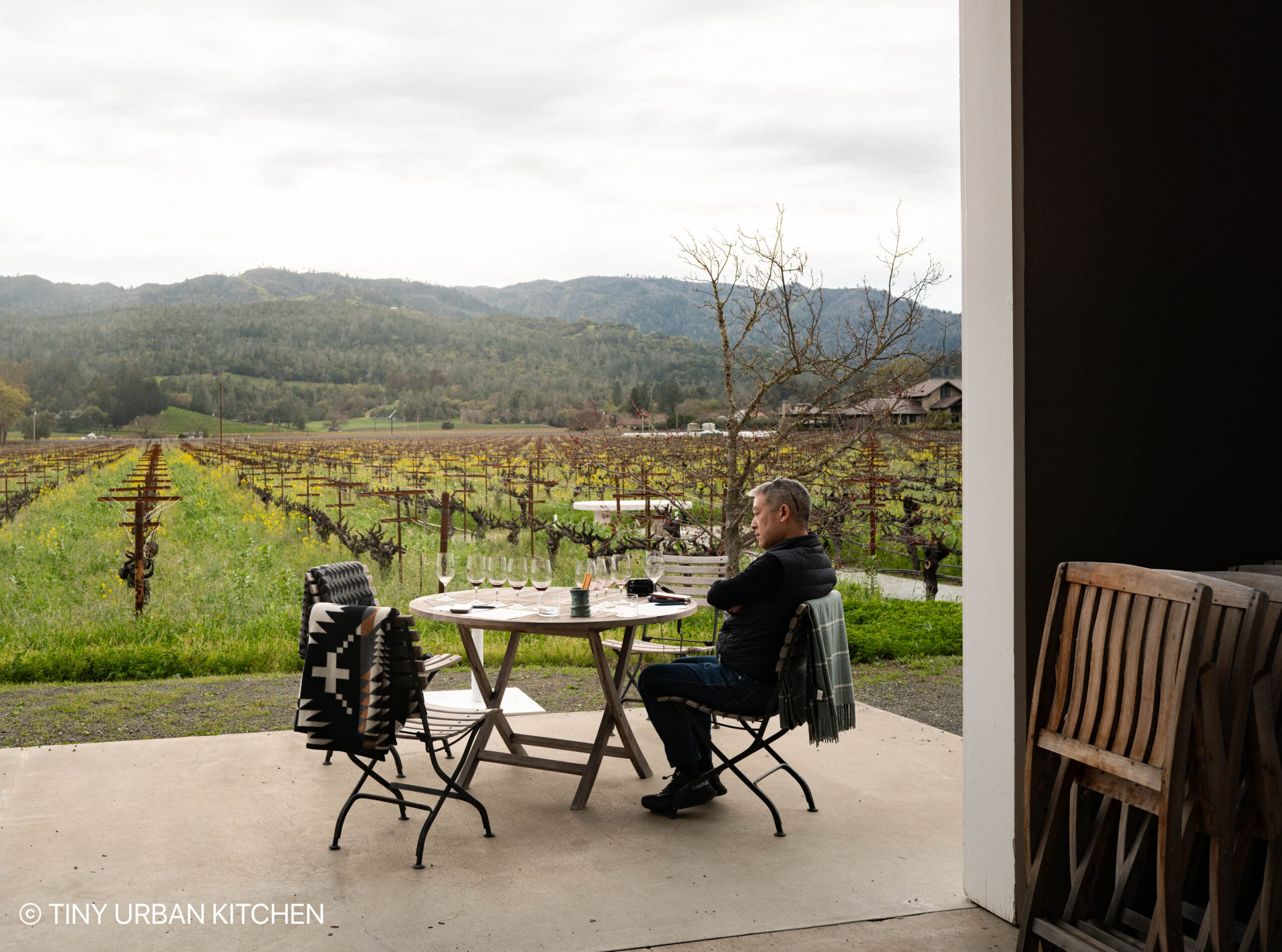 Corison Winery St. Helena California