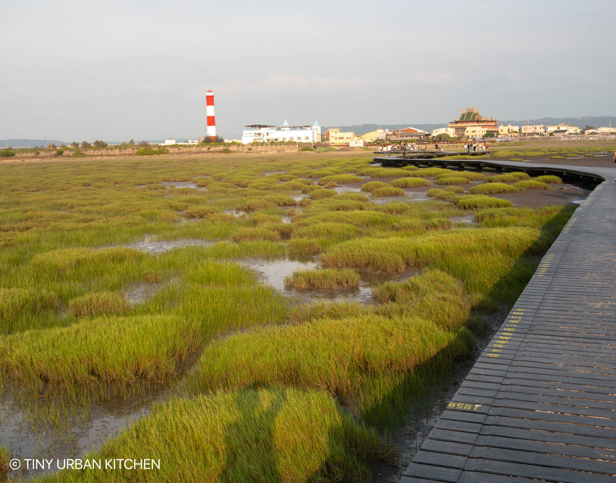 GaoMei Turbine Avenue and Wetlands